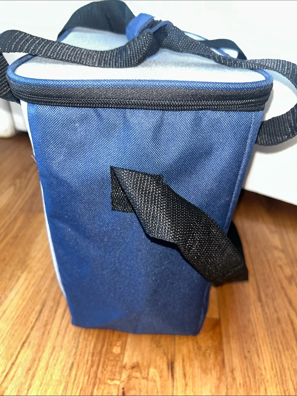 Blue and Grey New Spacious Insulated Cooler Beach Bag 12x16